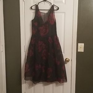 Ann Taylor Dress